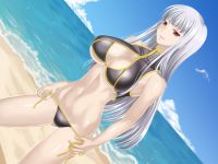 senjou_no_valkyria_lanyok_20110515_180.jpg